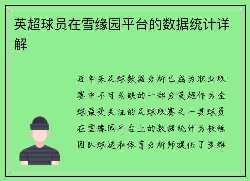 英超球员在雪缘园平台的数据统计详解